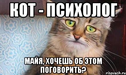 кот - психолог майя, хочешь об этом поговорить?