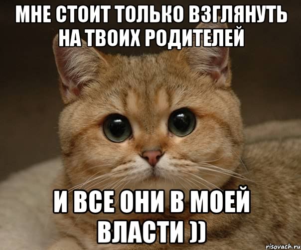 мне стоит только взглянуть на твоих родителей и все они в моей власти )), Мем Пидрила Ебаная