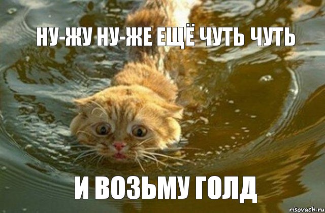 ну-жу ну-же ещё чуть чуть и возьму голд