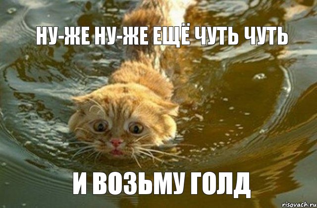 ну-же ну-же ещё чуть чуть и возьму голд, Комикс Котэ плывет