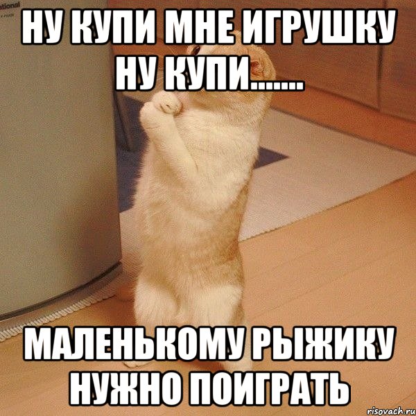 ну купи мне игрушку ну купи....... маленькому рыжику нужно поиграть, Мем  котэ молится