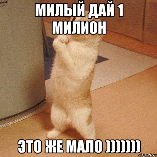 милый дай 1 милион это же мало ))))))), Мем  котэ молится