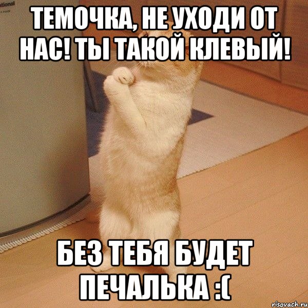 темочка, не уходи от нас! ты такой клевый! без тебя будет печалька :(, Мем  котэ молится