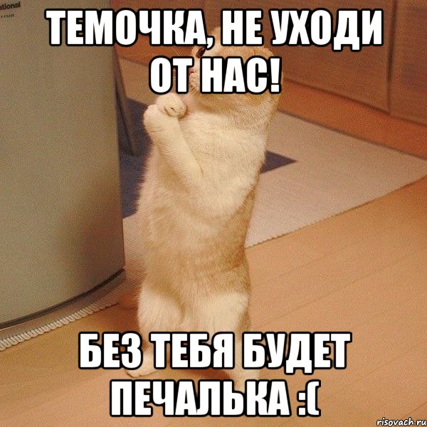 темочка, не уходи от нас! без тебя будет печалька :(, Мем  котэ молится