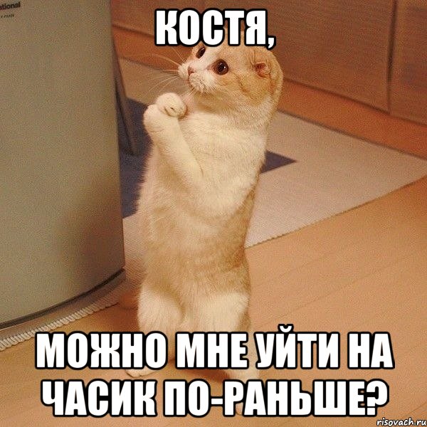 костя, можно мне уйти на часик по-раньше?, Мем  котэ молится