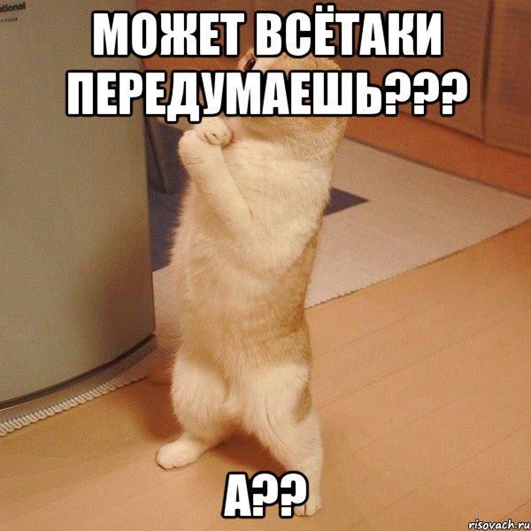 может всётаки передумаешь??? а??, Мем  котэ молится