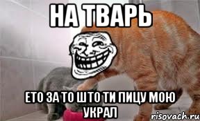 на тварь ето за то што ти пицу мою украл