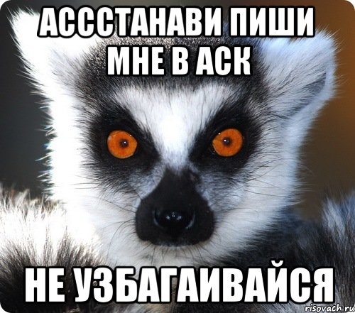 ассстанави пиши мне в аск не узбагаивайся, Мем лемур