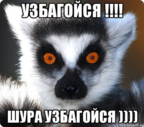 узбагойся !!! шура узбагойся ))))