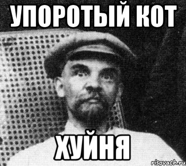 упоротый кот хуйня, Мем   Ленин удивлен