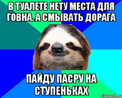 в туалете нету места для говна. а смывать дорага пайду пасру на ступеньках, Мем Ленивец