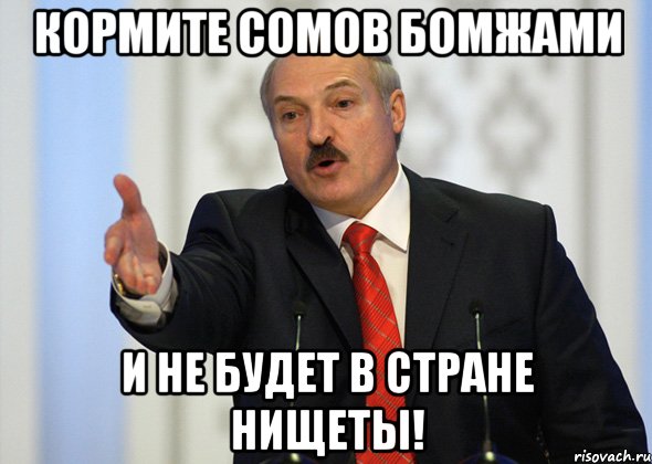 кормите сомов бомжами и не будет в стране нищеты!, Мем лукашенко