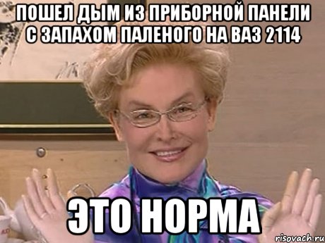 пошел дым из приборной панели с запахом паленого на ваз 2114 это норма, Мем Елена Малышева