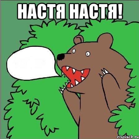 настя настя! , Мем Медведь-шлюха