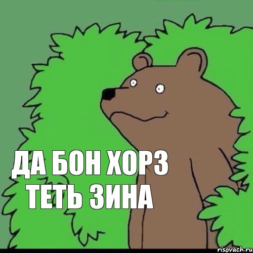 да бон хорз теть зина, Комикс Медведь уч0ный