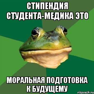 стипендия студента-медика это моральная подготовка к будущему, Мем  Мерзкая жаба