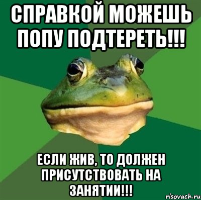 справкой можешь попу подтереть!!! если жив, то должен присутствовать на занятии!!!, Мем  Мерзкая жаба