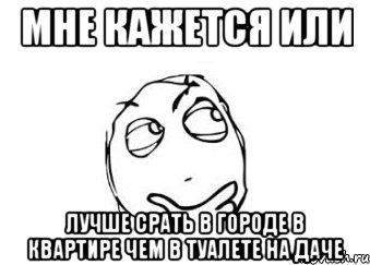 мне кажется или лучше срать в городе в квартире чем в туалете на даче, Мем Мне кажется или