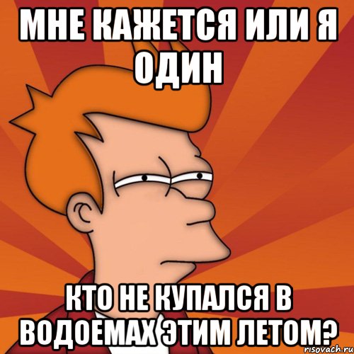 мне кажется или я один кто не купался в водоемах этим летом?, Мем Мне кажется или (Фрай Футурама)