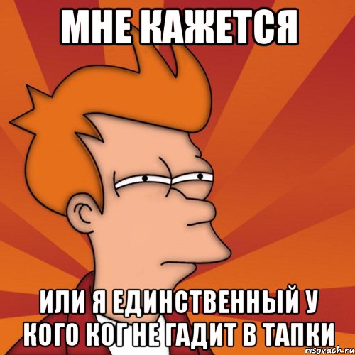 мне кажется или я единственный у кого ког не гадит в тапки, Мем Мне кажется или (Фрай Футурама)