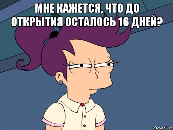 мне кажется, что до открытия осталось 16 дней? , Мем Мне кажется или (с Лилой)