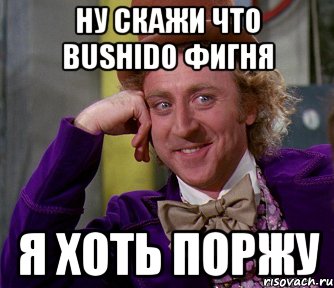 ну скажи что bushido фигня я хоть поржу, Мем мое лицо