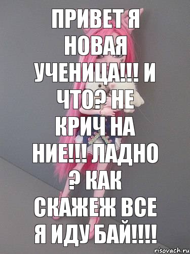 Привет я новая ученица!!! И что? Не крич на ние!!! Ладно ? КАК скажеж Все я иду БАЙ!!!, Комикс монстер хай новая ученица