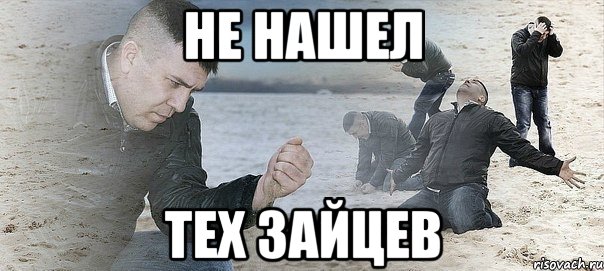 не нашел тех зайцев, Мем Мужик сыпет песок на пляже