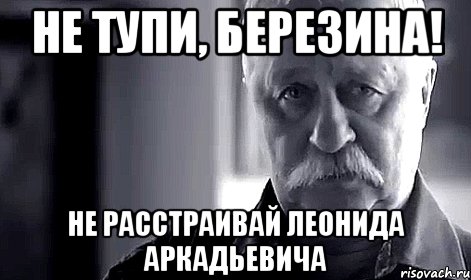 не тупи, березина! не расстраивай леонида аркадьевича, Мем Не огорчай Леонида Аркадьевича