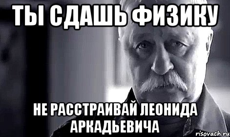 ты сдашь физику не расстраивай леонида аркадьевича, Мем Не огорчай Леонида Аркадьевича