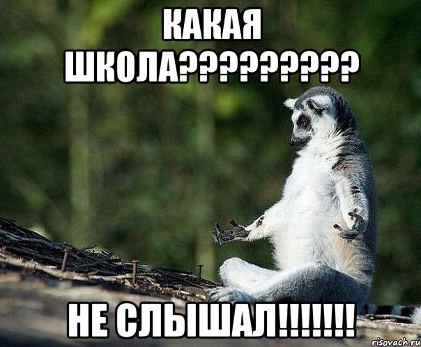 какая школа??? не слышал!!!