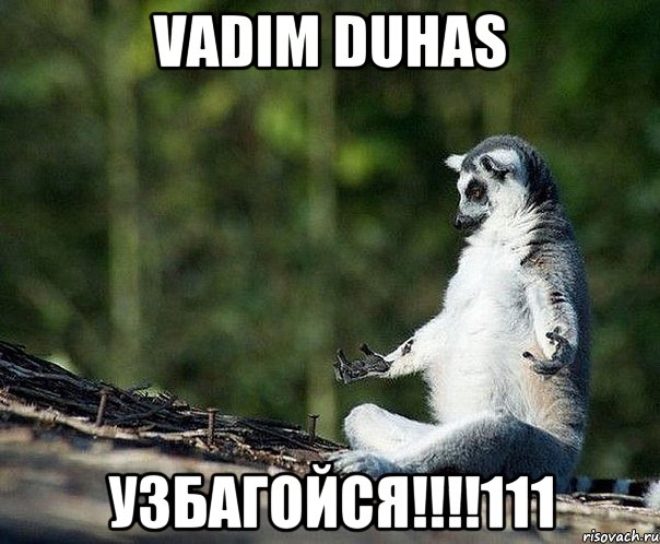 vadim duhas узбагойся!!!111, Мем не узбагоюсь