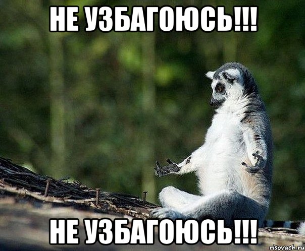 не узбагоюсь!!! не узбагоюсь!!!, Мем не узбагоюсь