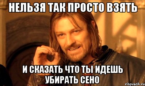 нельзя так просто взять и сказать что ты идешь убирать сено, Мем Нельзя просто так взять и (Боромир мем)