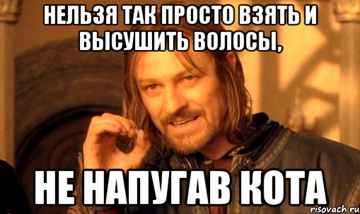 нельзя так просто взять и высушить волосы, не напугав кота, Мем Нельзя просто так взять и (Боромир мем)