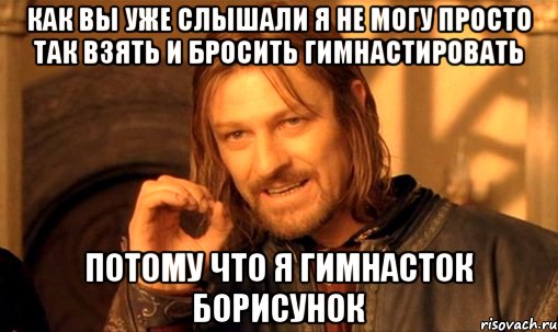 как вы уже слышали я не могу просто так взять и бросить гимнастировать потому что я гимнасток борисунок, Мем Нельзя просто так взять и (Боромир мем)