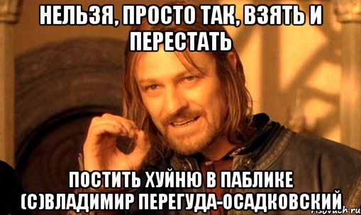 нельзя, просто так, взять и перестать постить хуйню в паблике (с)владимир перегуда-осадковский, Мем Нельзя просто так взять и (Боромир мем)