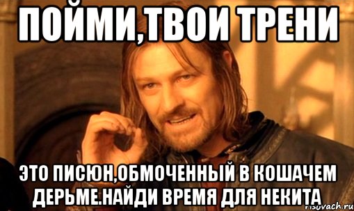 пойми,твои трени это писюн,обмоченный в кошачем дерьме.найди время для некита, Мем Нельзя просто так взять и (Боромир мем)