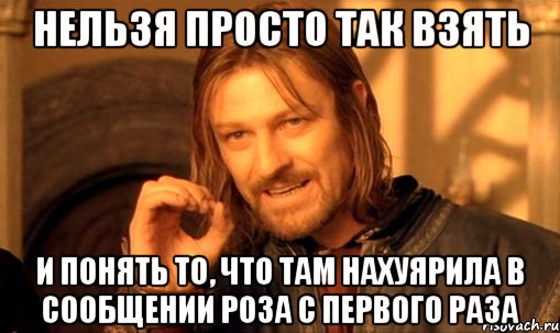 нельзя просто так взять и понять то, что там нахуярила в сообщении роза с первого раза, Мем Нельзя просто так взять и (Боромир мем)