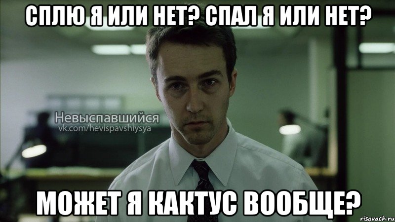 сплю я или нет? спал я или нет? может я кактус вообще?