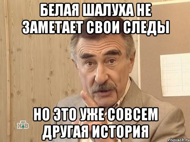 белая шалуха не заметает свои следы но это уже совсем другая история, Мем Каневский (Но это уже совсем другая история)