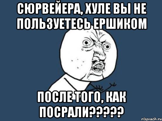 сюрвейера, хуле вы не пользуетесь ершиком после того, как посрали???, Мем Ну почему