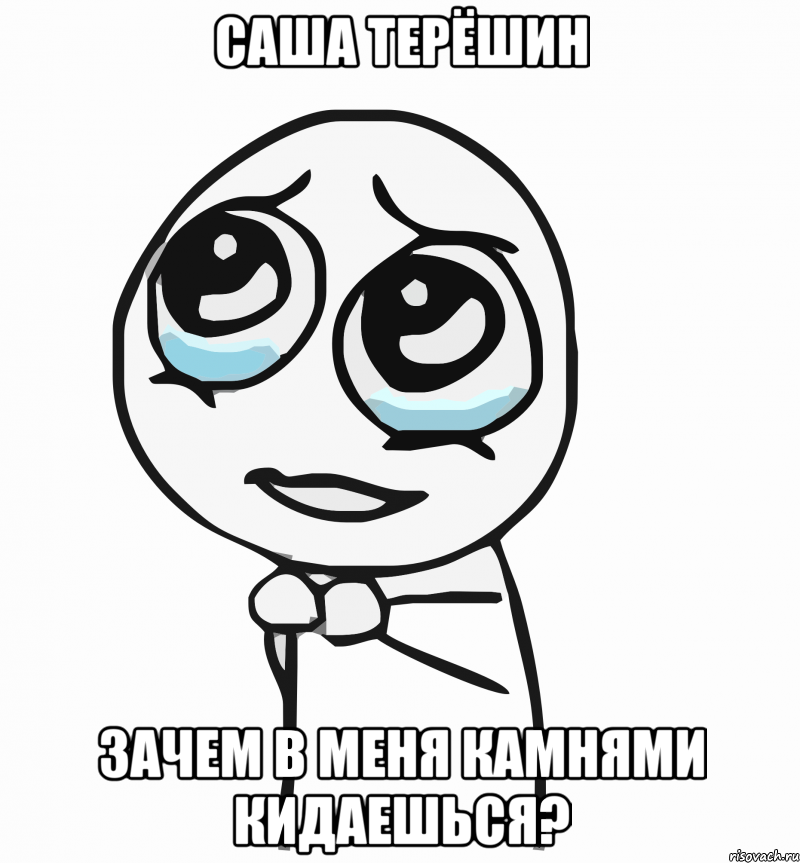 саша терёшин зачем в меня камнями кидаешься?, Мем  ну пожалуйста (please)