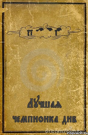 Ring of Comics Лучшая чемпионка див, Комикс обложка книги