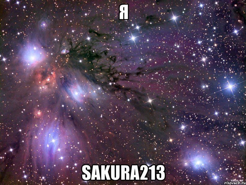 я sakura213, Мем Космос