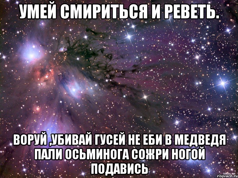 умей смириться и реветь. воруй ,убивай гусей не еби в медведя пали осьминога сожри ногой подавись, Мем Космос