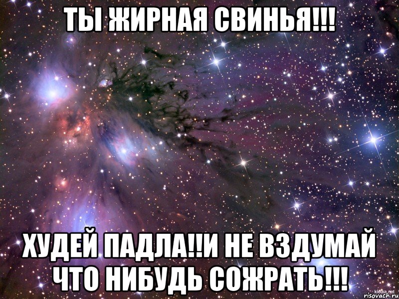 ты жирная свинья!!! худей падла!!и не вздумай что нибудь сожрать!!!, Мем Космос