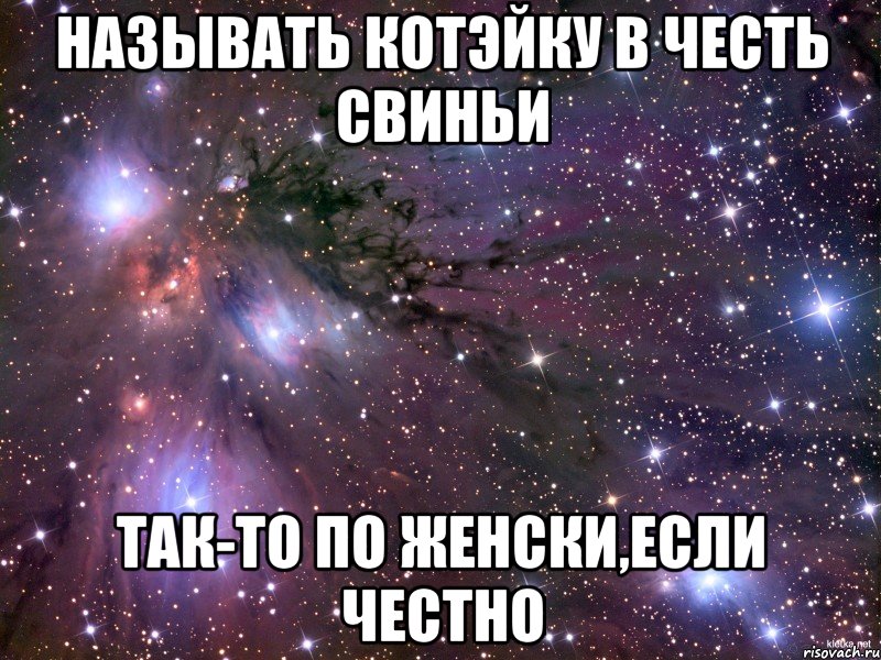 называть котэйку в честь свиньи так-то по женски,если честно, Мем Космос