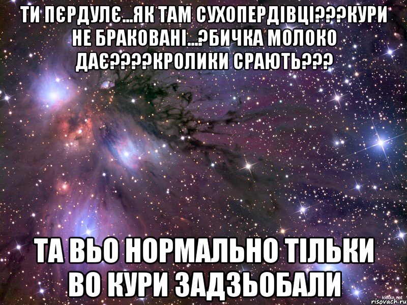 ти пєрдулє...як там сухопердівці???кури не браковані...?бичка молоко дає???кролики срають??? та вьо нормально тільки во кури задзьобали, Мем Космос