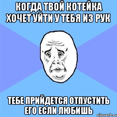 когда твой котейка хочет уйти у тебя из рук тебе прийдется отпустить его если любишь, Мем Okay face